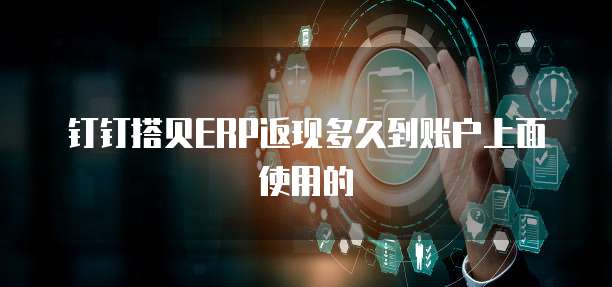 钉钉搭贝erp返现多久到账户上面使用的
