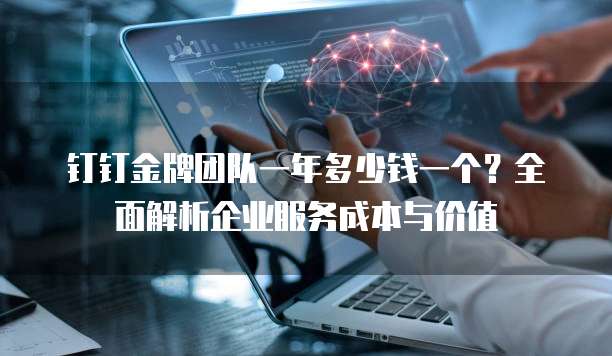 钉钉金牌团队一年多少钱一个?全面解析企业服务成本与价值