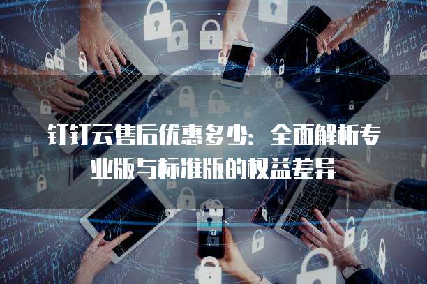 钉钉云售后优惠多少：全面解析专业版与标准版的权益差异