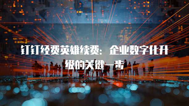 钉钉经费英雄续费：企业数字化升级的关键一步