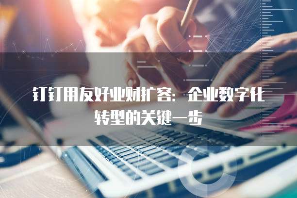 钉钉用友好业财扩容:企业数字化转型的关键一步