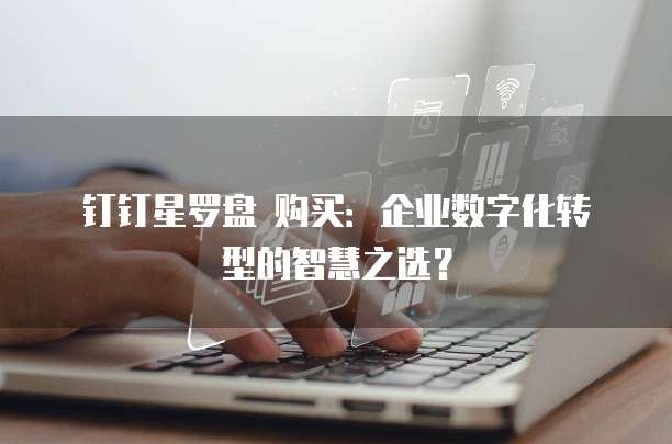钉钉星罗盘 购买:企业数字化转型的智慧之选?