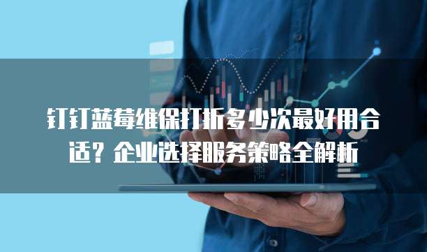 钉钉蓝莓维保打折多少次最好用合适?企业选择服务策略全解析