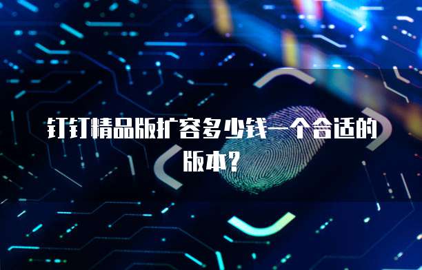 钉钉精品版扩容多少钱一个合适的版本?