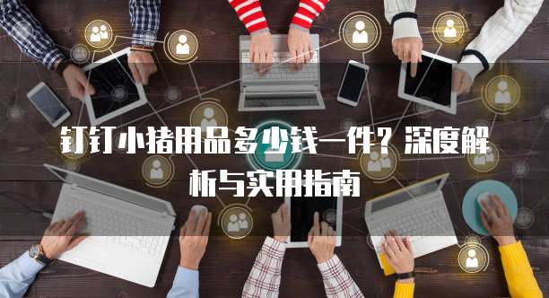 钉钉小猪用品多少钱一件?深度解析与实用指南