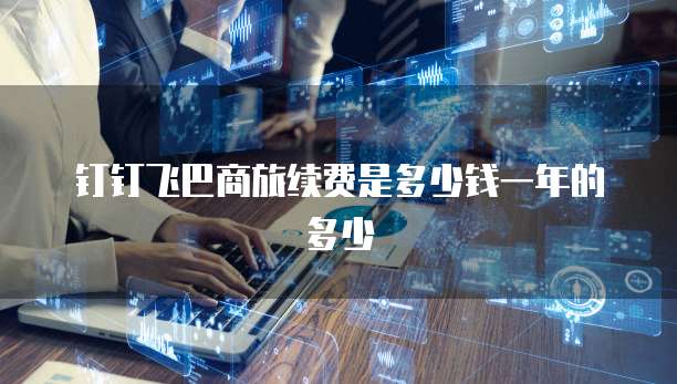 钉钉飞巴商旅续费是多少钱一年的多少