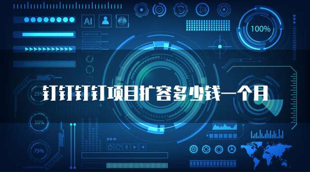 钉钉钉钉项目扩容多少钱一个月