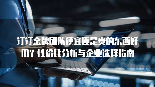 钉钉金牌团队便宜还是贵的东西好用？性价比分析与企业选择指南
