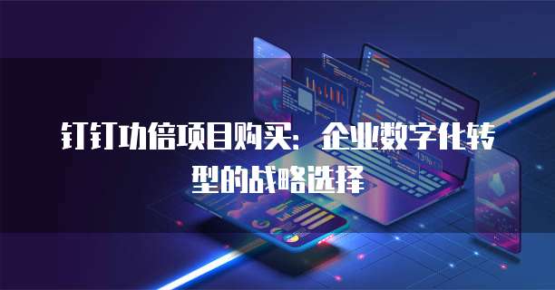 钉钉功倍项目购买：企业数字化转型的战略选择
