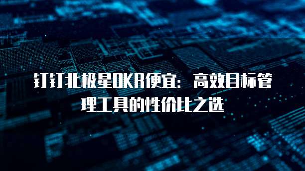 钉钉北极星OKR便宜:高效目标管理工具的性价比之选