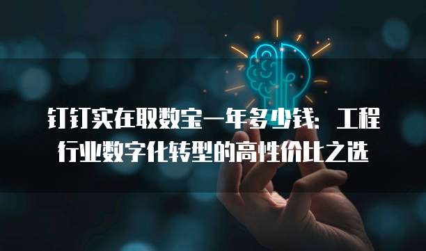 钉钉实在取数宝一年多少钱：工程行业数字化转型的高性价比之选