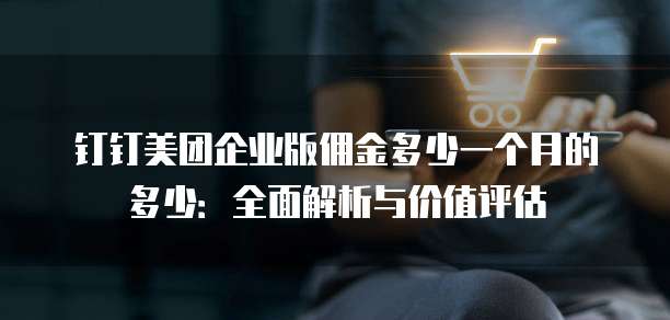 钉钉美团企业版佣金多少一个月的多少：全面解析与价值评估