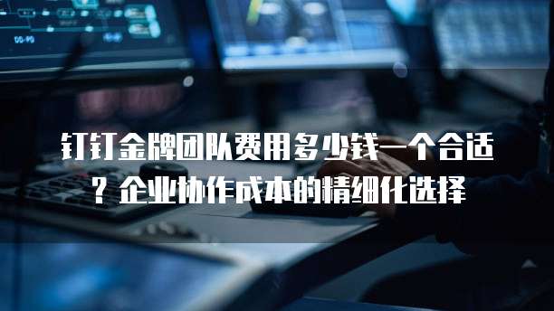 钉钉金牌团队费用多少钱一个合适?企业协作成本的精细化选择