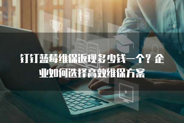 钉钉蓝莓维保返现多少钱一个?企业如何选择高效维保方案