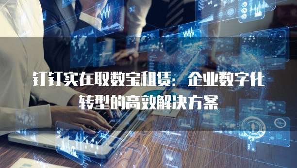 钉钉实在取数宝租赁:企业数字化转型的高效解决方案