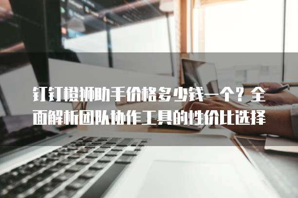 钉钉橙狮助手价格多少钱一个?全面解析团队协作工具的性价比选择