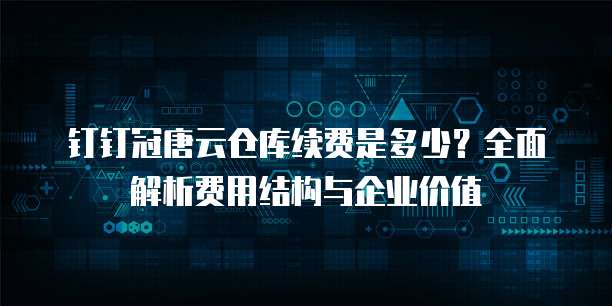 钉钉冠唐云仓库续费是多少?全面解析费用结构与企业价值
