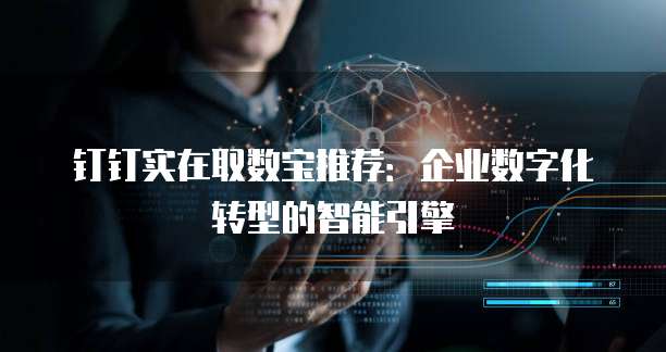钉钉实在取数宝推荐：企业数字化转型的智能引擎