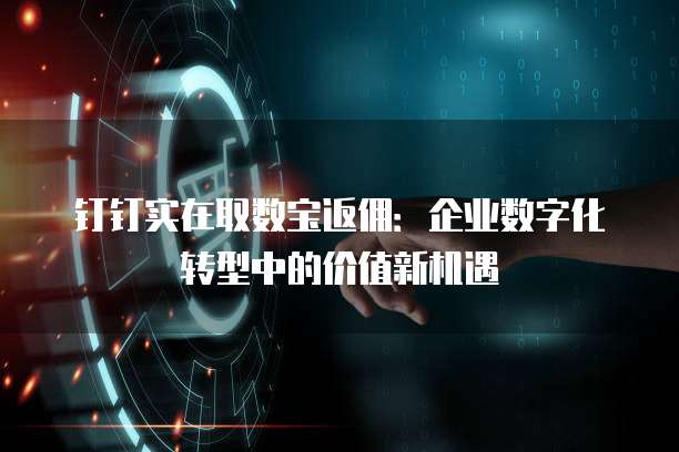 钉钉实在取数宝返佣:企业数字化转型中的价值新机遇