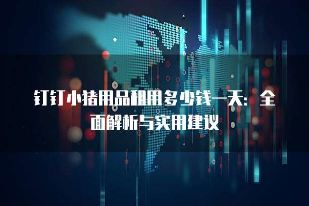 钉钉小猪用品租用多少钱一天:全面解析与实用建议