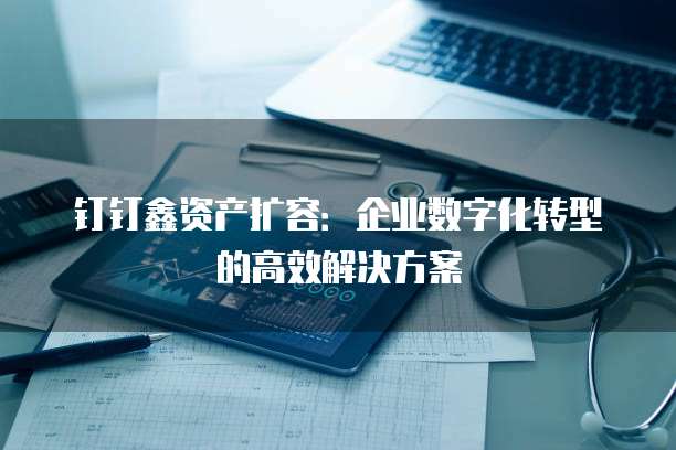 钉钉鑫资产扩容：企业数字化转型的高效解决方案