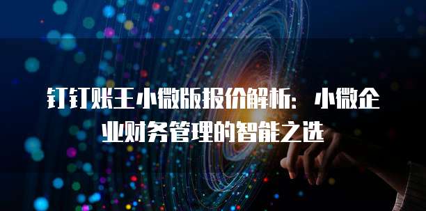 钉钉账王小微版报价解析：小微企业财务管理的智能之选