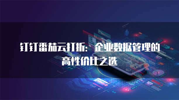 钉钉番茄云打折:企业数据管理的高性价比之选