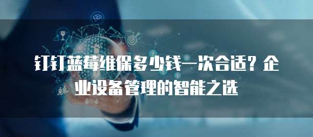 钉钉蓝莓维保多少钱一次合适?企业设备管理的智能之选