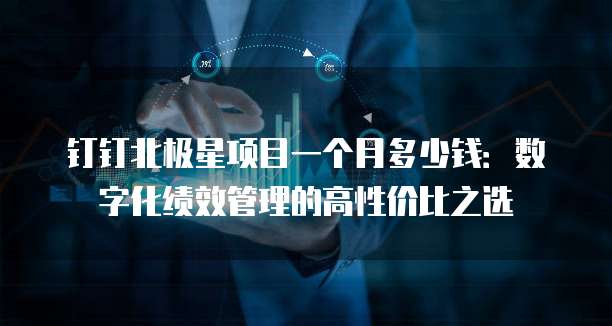 钉钉北极星项目一个月多少钱:数字化绩效管理的高性价比之选