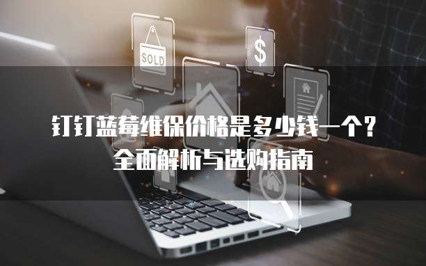 钉钉蓝莓维保价格是多少钱一个?全面解析与选购指南