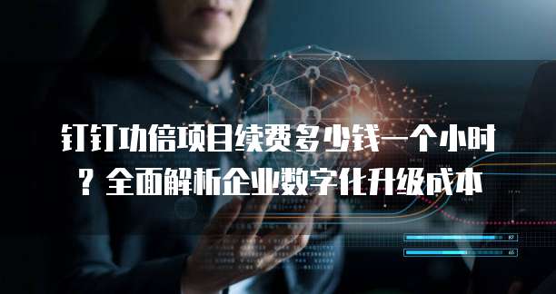 钉钉功倍项目续费多少钱一个小时?全面解析企业数字化升级成本