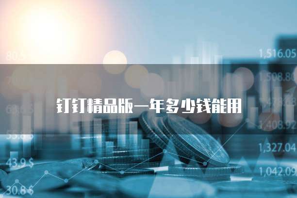 钉钉精品版一年多少钱能用