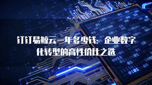 钉钉易鲸云一年多少钱:企业数字化转型的高性价比之选