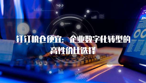 钉钉粮仓便宜:企业数字化转型的高性价比选择