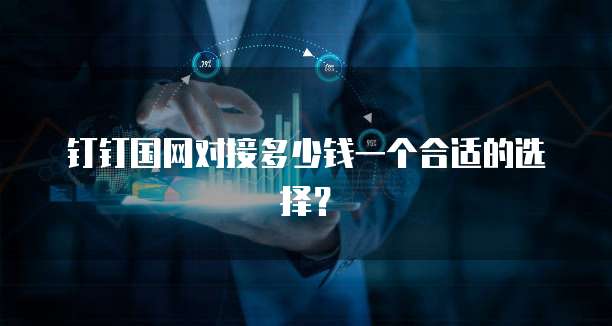 钉钉国网对接多少钱一个合适的选择?