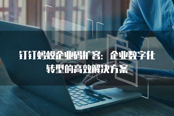 钉钉蚂蚁企业码扩容:企业数字化转型的高效解决方案