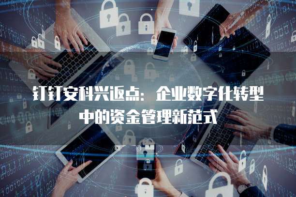 钉钉安科兴返点:企业数字化转型中的资金管理新范式