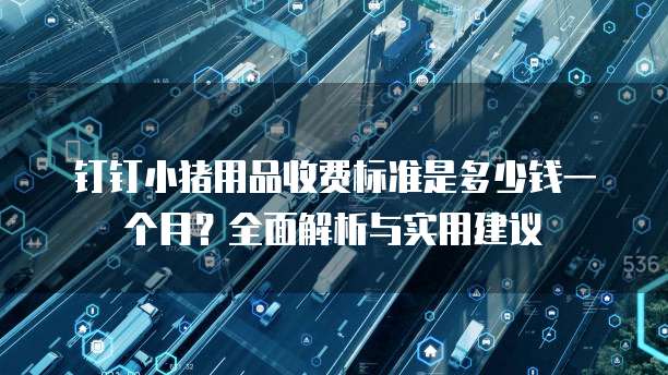 钉钉小猪用品收费标准是多少钱一个月?全面解析与实用建议