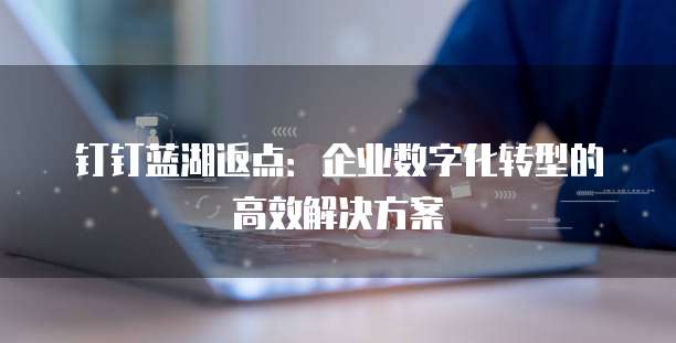 钉钉蓝湖返点:企业数字化转型的高效解决方案