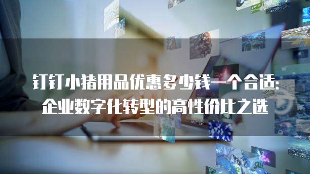 钉钉小猪用品优惠多少钱一个合适：企业数字化转型的高性价比之选