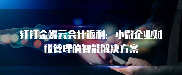 钉钉金蝶云会计返利:小微企业财税管理的智能解决方案