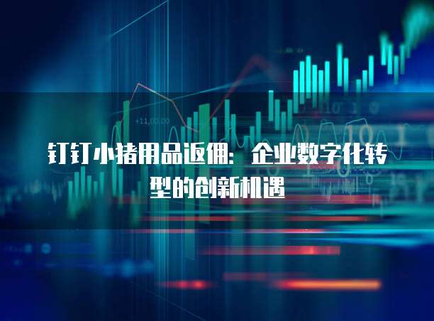 钉钉小猪用品返佣:企业数字化转型的创新机遇