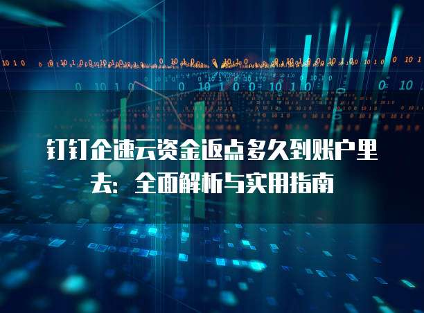 钉钉企速云资金返点多久到账户里去:全面解析与实用指南
