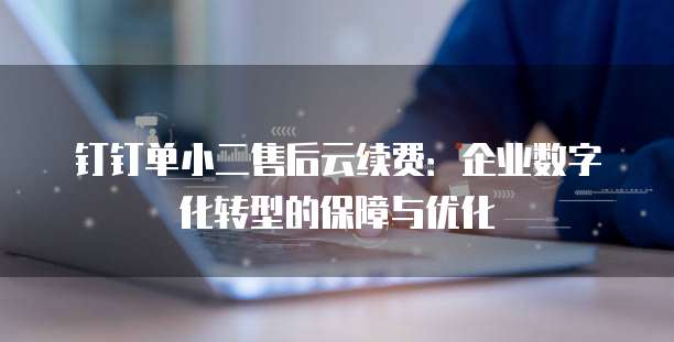 钉钉单小二售后云续费:企业数字化转型的保障与优化