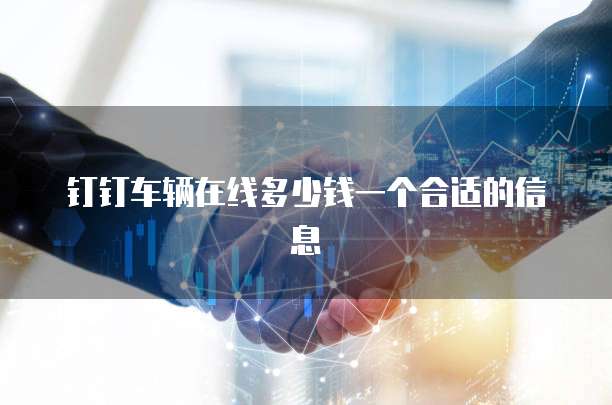 钉钉车辆在线多少钱一个合适的信息