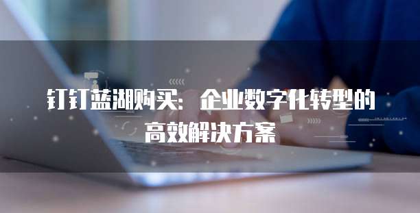钉钉蓝湖购买:企业数字化转型的高效解决方案
