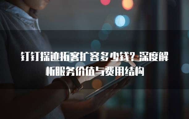 钉钉探迹拓客扩容多少钱？深度解析服务价值与费用结构