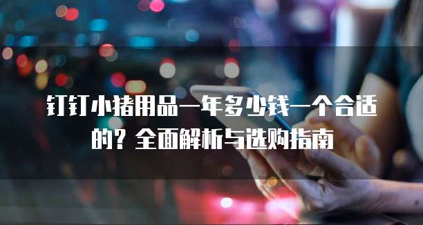 钉钉小猪用品一年多少钱一个合适的?全面解析与选购指南