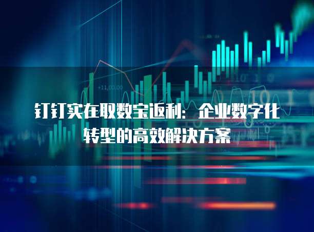 钉钉实在取数宝返利:企业数字化转型的高效解决方案
