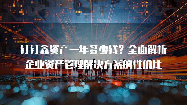 钉钉鑫资产一年多少钱?全面解析企业资产管理解决方案的性价比